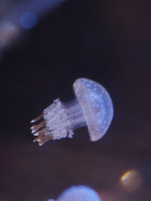 20231031_07.jpg