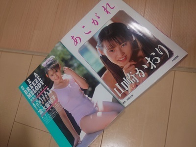 昨日「松江フォーゲルパーク」に行った、今日届いた中古本（山崎かおり&富永留利子）: 日記の部屋