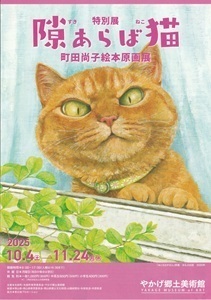 エントリ画像